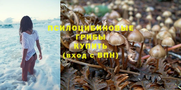 спиды Кукмор