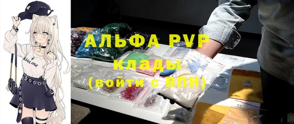 спиды Кукмор