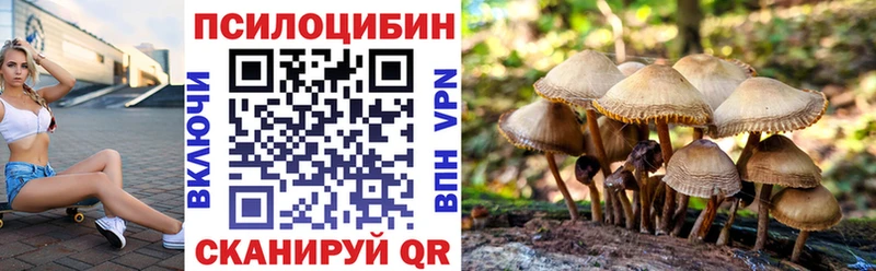 Псилоцибиновые грибы Psilocybe  блэк спрут вход  Чухлома 